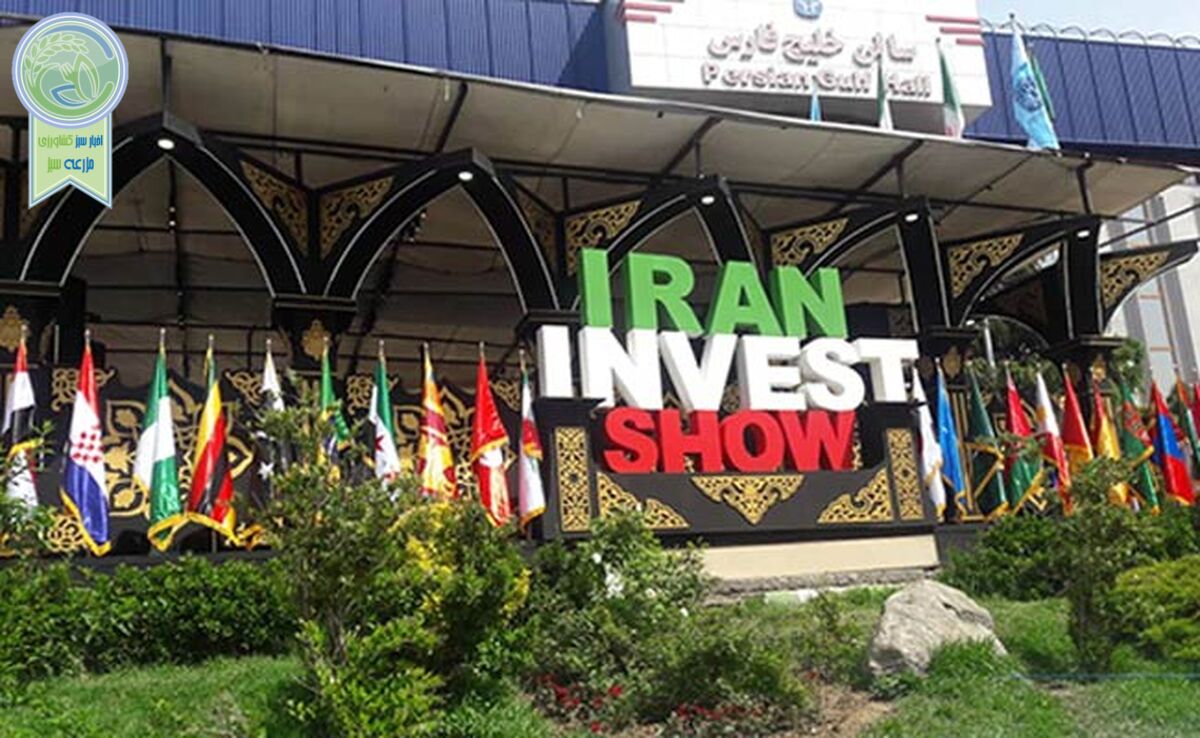 آغاز به کار هفتمین دوره نمایشگاه ایران اکسپو؛ بزرگترین ویترین صادراتی ایران به روی جهان گشوده شد+ عکس