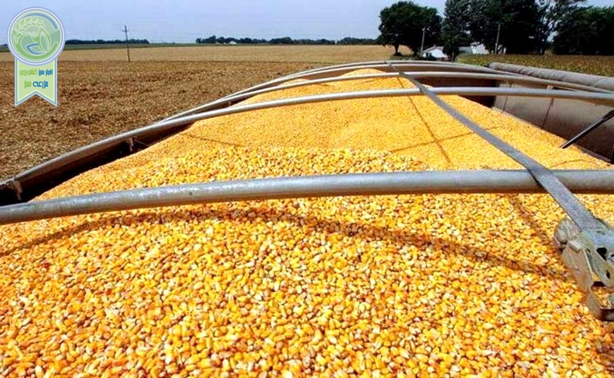 ماجرای جلوگیری از خسارت ۳۰۰ میلیارد تومانی به بیت المال چه بود؟

