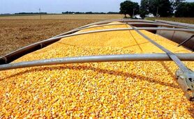 ماجرای جلوگیری از خسارت ۳۰۰ میلیارد تومانی به بیت المال چه بود؟

