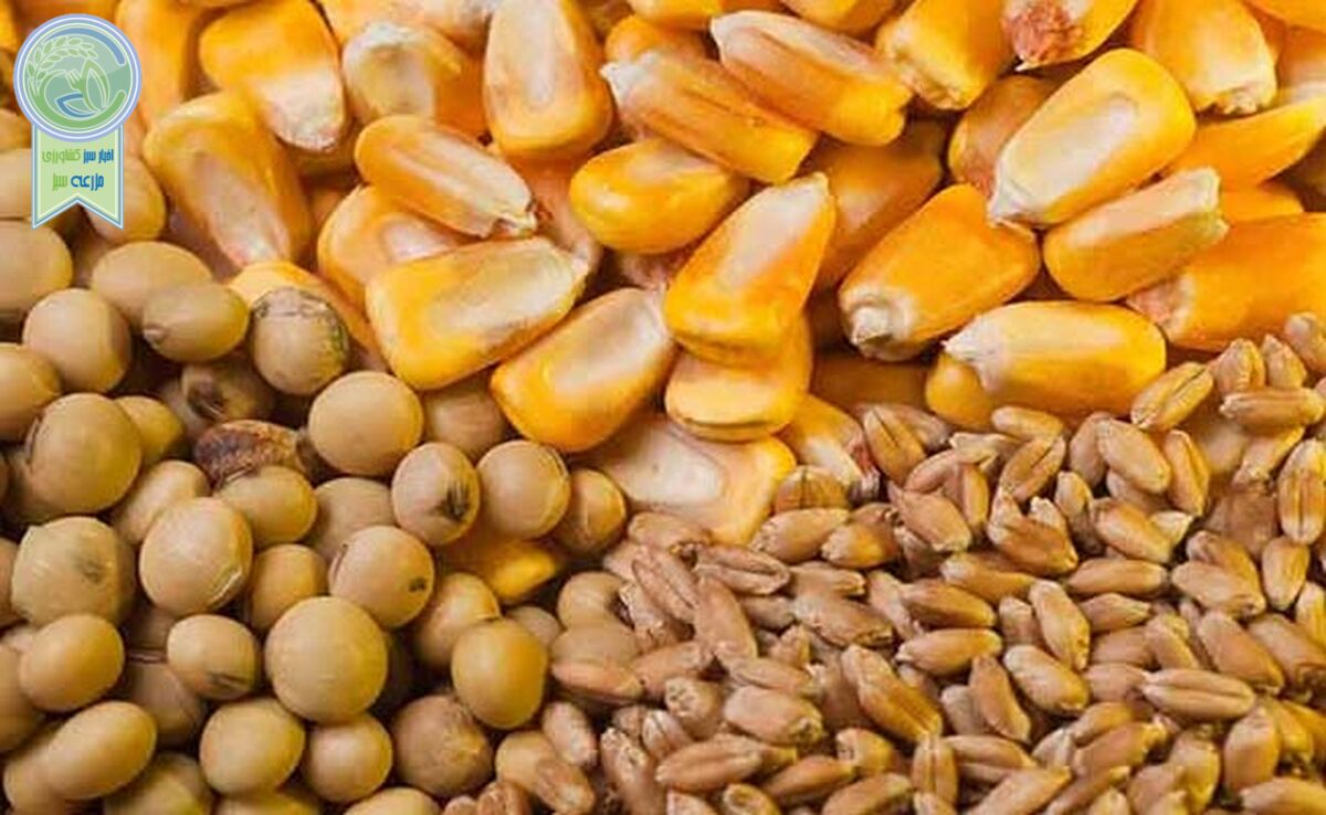 قیمت نهاده های دامی و محصولات کشاورزی ۳۰ بهمن ۱۴۰۳+ جدول

