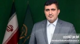 این بار از شمار «سه نون»، واقعاً یک نون کم!
