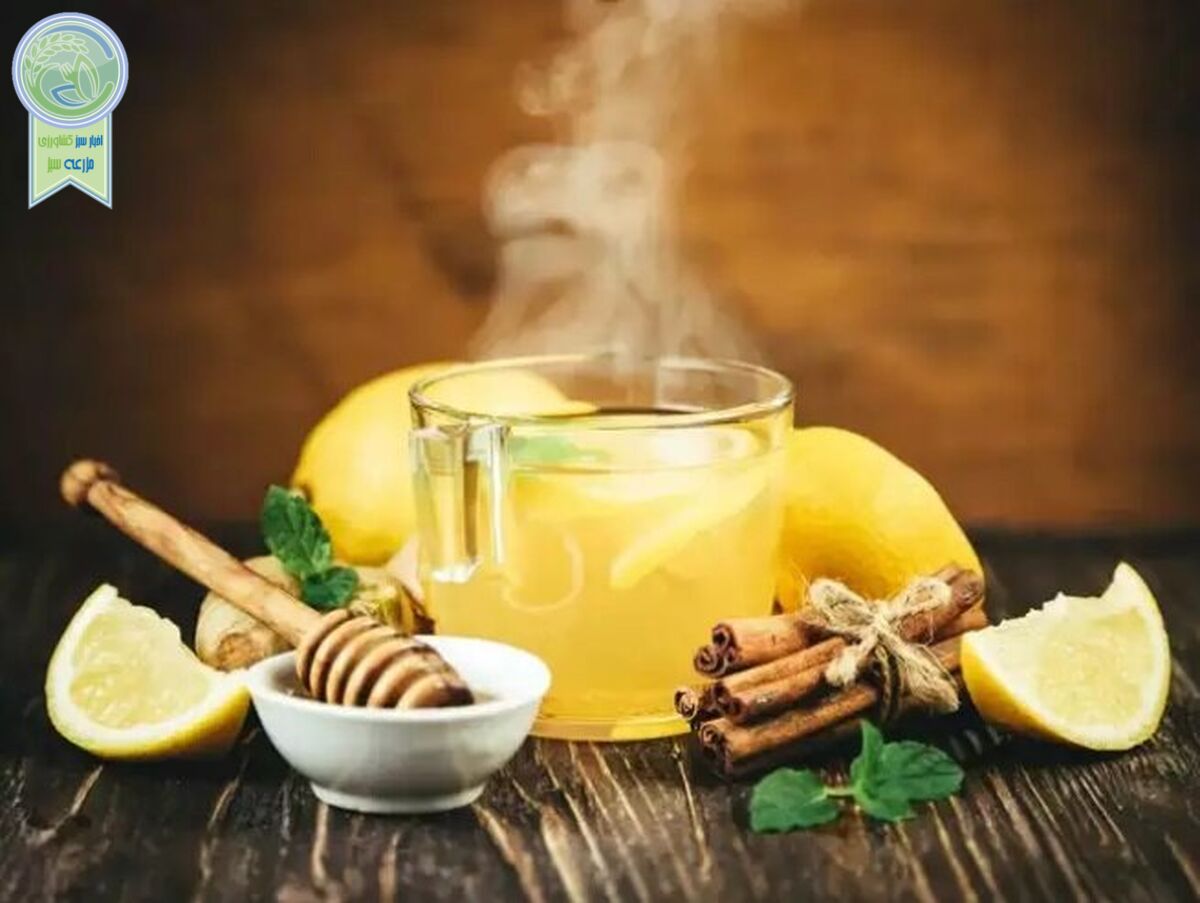 فواید چای زنجبیل برای سلامتی

