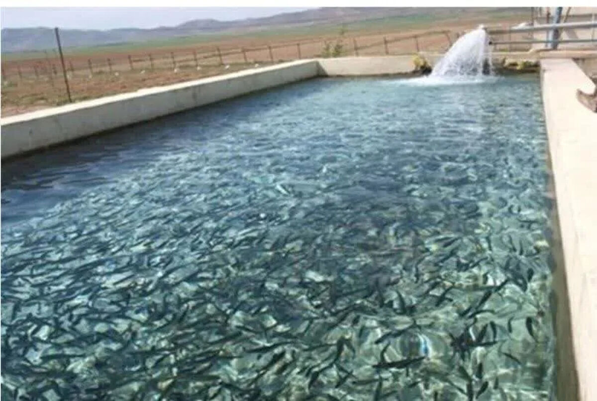 طرح جامع هوشمندسازی مزارع آبزی‌پروری و توسعه انرژی پاک