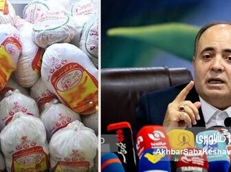 ادعای نوری قزلجه درباره «خودکفایی مرغ»؛ دستاوردی واقعی یا بازی با واژه‌ها و آمار؟
