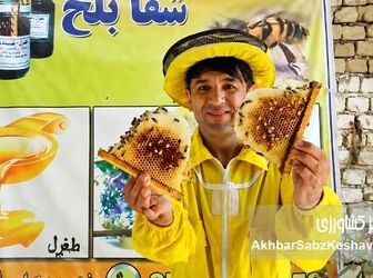 زنبورداری افغانستان در پیچ وخم مشکلات ولی زنده+کلیپ