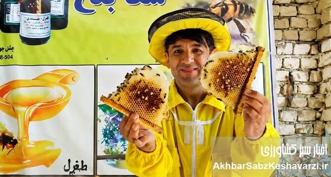 زنبورداری افغانستان در پیچ وخم مشکلات ولی زنده+کلیپ