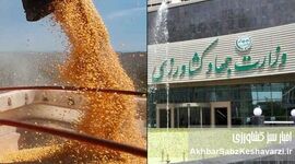 ورود و آغاز به کار هیات تحقیق و تفحص از وزارت جهاد کشاورزی+ ویدئو