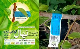 نمودی دیگر از بلوغ و شکوفایی آیفارم

