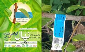 نمودی دیگر از بلوغ و شکوفایی آیفارم

