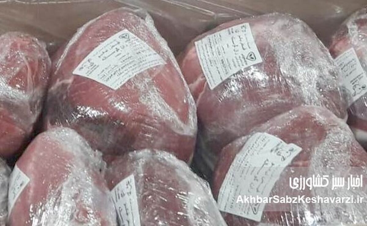 فاجعه در جاهد بازار/ کشف گوشت تاریخ‌گذشته وارداتی؛ جان مردم بازیچه شد+ویدئو