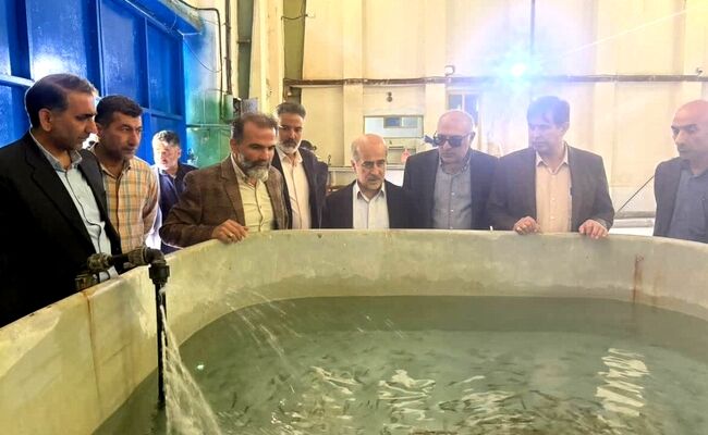مرکز شهید باهنر کلاردشت، سایت پشتیبان تولید بچه‌ماهی آزاد و توسعه آبزی‌پروری قفس در خزر