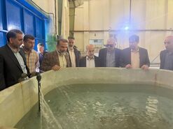 مرکز شهید باهنر کلاردشت، سایت پشتیبان تولید بچه‌ماهی آزاد و توسعه آبزی‌پروری قفس در خزر