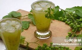 نوشیدنی محبوب گیلانی‌ها که عطش تابستان را یک‌باره می‌بَرَد

