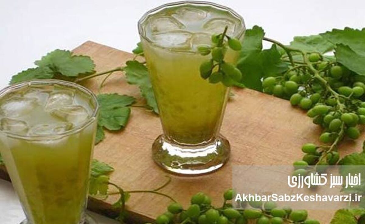 نوشیدنی محبوب گیلانی‌ها که عطش تابستان را یک‌باره می‌بَرَد

