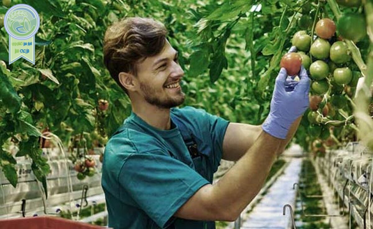 ۲ هزار نیروی متخصص جذب وزارت جهاد کشاورزی می‌شوند

