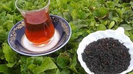 چای را چه زمانی مصرف کنیم؟+ ویدئو