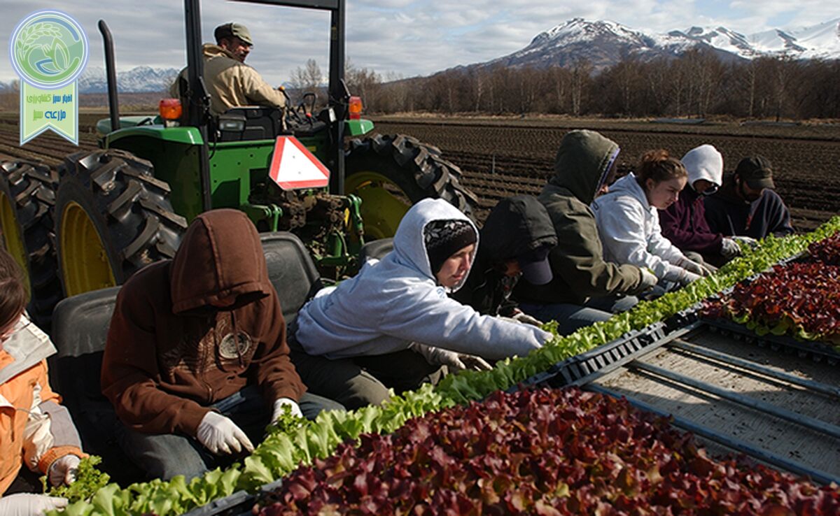 حال، زمان مناسبی برای تأسیس وزارت کشاورزی آلاسکا است