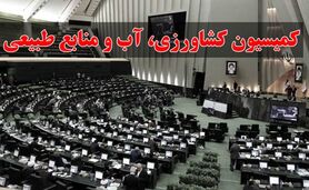 گمانه‌زنی‌ها درباره ریاست کمیسیون تامین امنیت غذایی کشور

