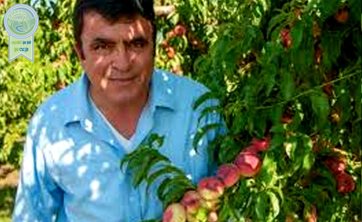 نابغه ایرانی در کشور بیگانه+ ویدئو

