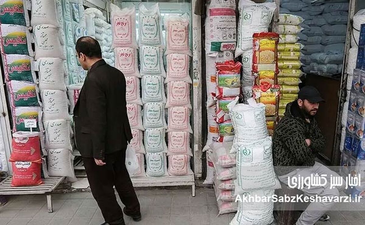 قیمت روز برنج ایرانی؛ مصرف‌کنندگان منتظر چه عددی باشند؟