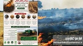 سوزاندن بقایای گیاهی؛ تهدید پنهان برای خاک، هوا و سلامت+اینفوگرافی 