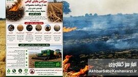 سوزاندن بقایای گیاهی؛ تهدید پنهان برای خاک، هوا و سلامت+اینفوگرافی 