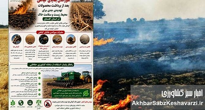 سوزاندن بقایای گیاهی؛ تهدید پنهان برای خاک، هوا و سلامت+اینفوگرافی 