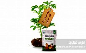 کود مرغی؛ از پسماند مرغداری تا قدرتمندترین کود آلی برای مزرعه شما
