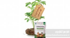 کود مرغی؛ از پسماند مرغداری تا قدرتمندترین کود آلی برای مزرعه شما