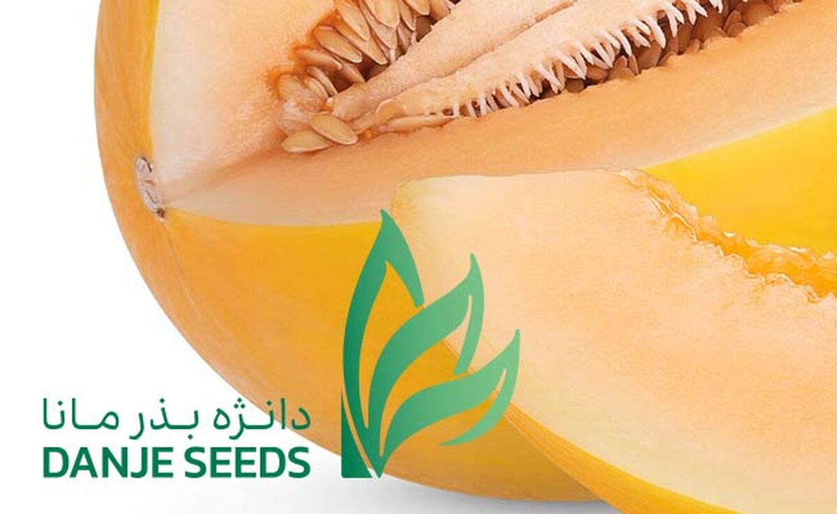 مصرف کمتر آب و ارزآوری بالا با بذر ایرانی دانژه+ کلیپ

