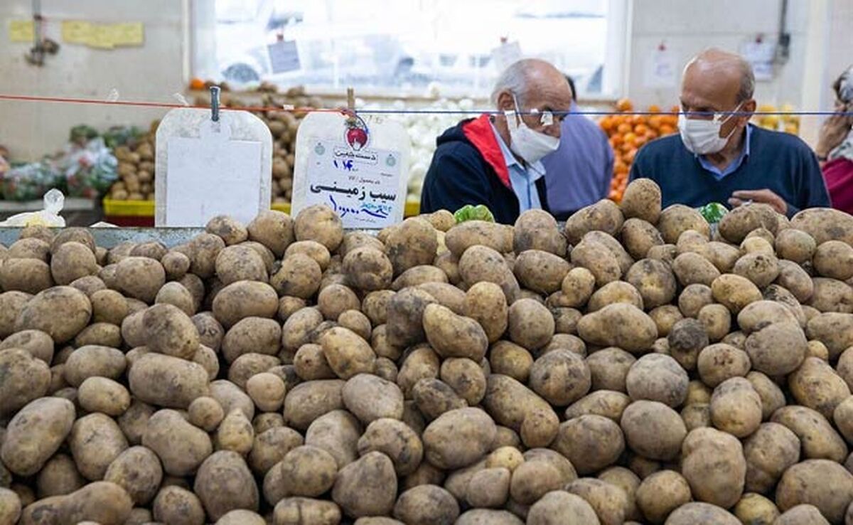 سیب‌زمینی‌های پاکستانی و ترکیه‌ای در بازار تهران!

