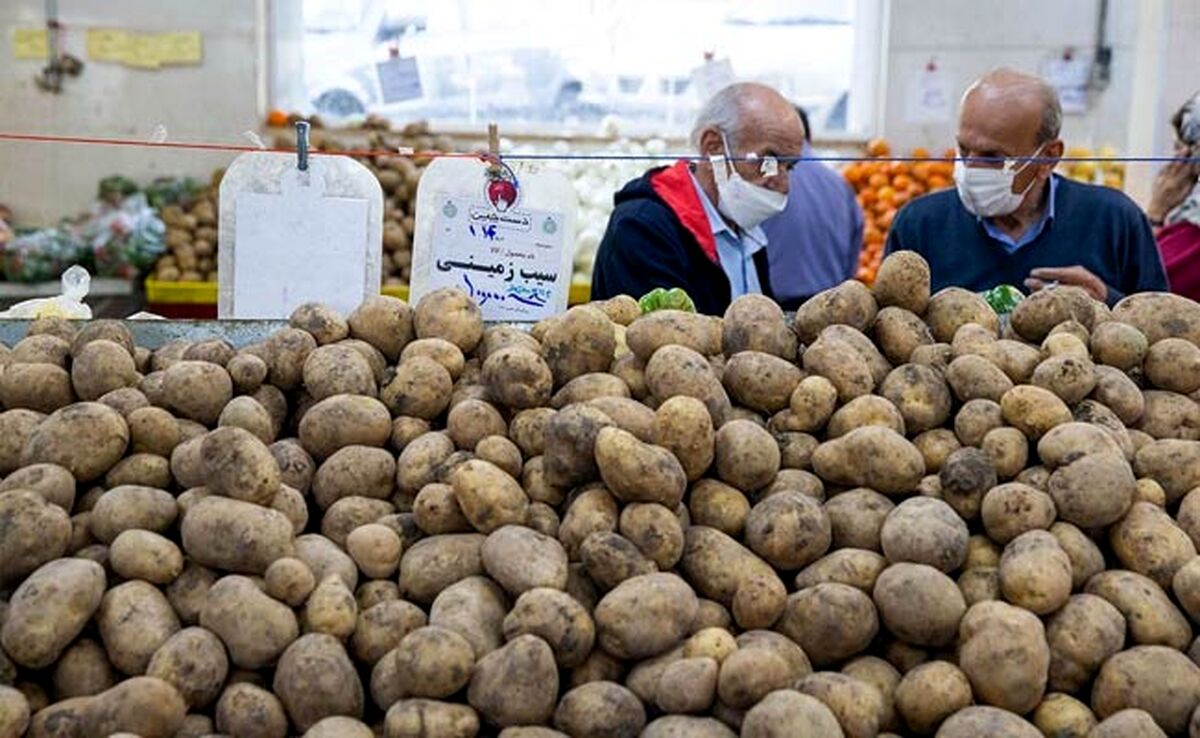 سیب‌زمینی‌های پاکستانی و ترکیه‌ای در بازار تهران!


