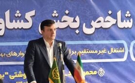 پایداری بازار مرغ تا چندماه آینده

