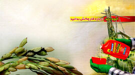 آنچه باید درباره قارچ‌کش‌ بدانید+ اینفوگرافی 

