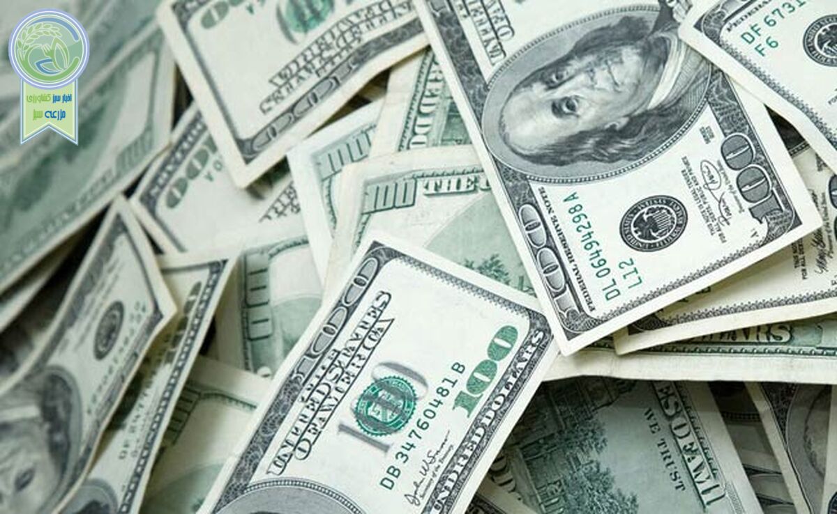 قیمت امروز دلار در بازار آزاد: ۸۱ هزار تومان

