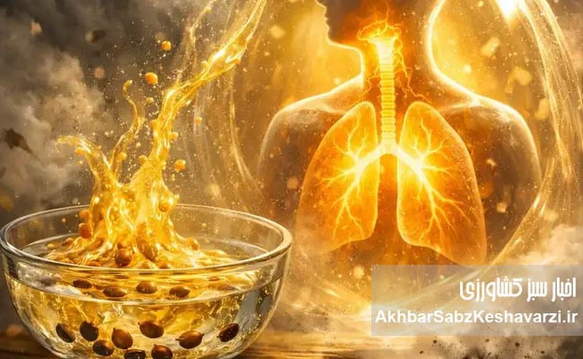 جادوی «به‌دانه» برای ریه‌های خسته در روزهای بحران