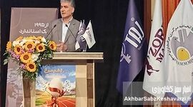 ظرفیت تولید ۲.۵ میلیون تن تخم‌مرغ در کشور / ضرورت توسعه صنایع تبدیلی برای مدیریت بازار