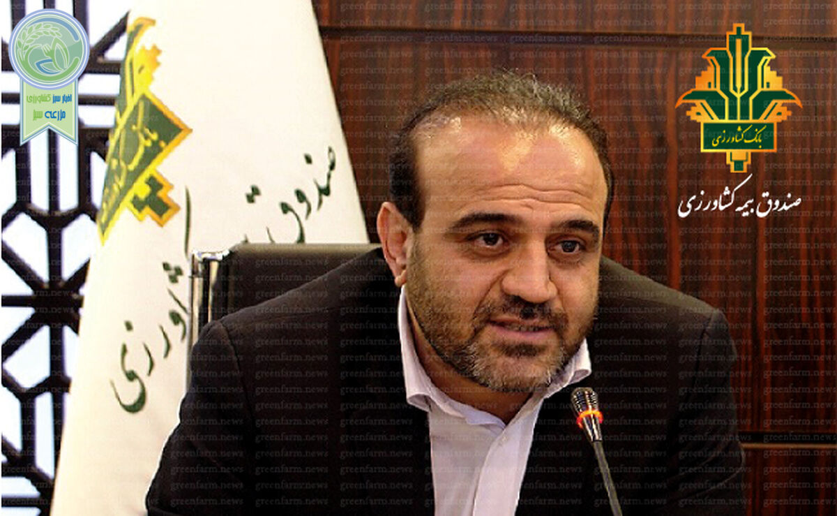 خلق منابع جدید؛ مهم‌ترین راهبرد توسعه بیمه کشاورزی

