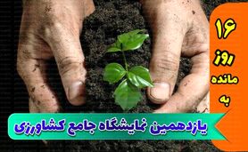 بزرگ‌ترین نمایشگاه کشاورزی با حضور بیش از 200 شرکت

