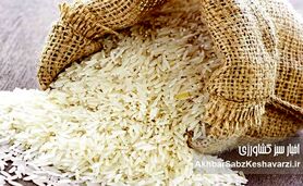 گرانی لبنیات و برنج؛ هشدار برای سفره ایرانی