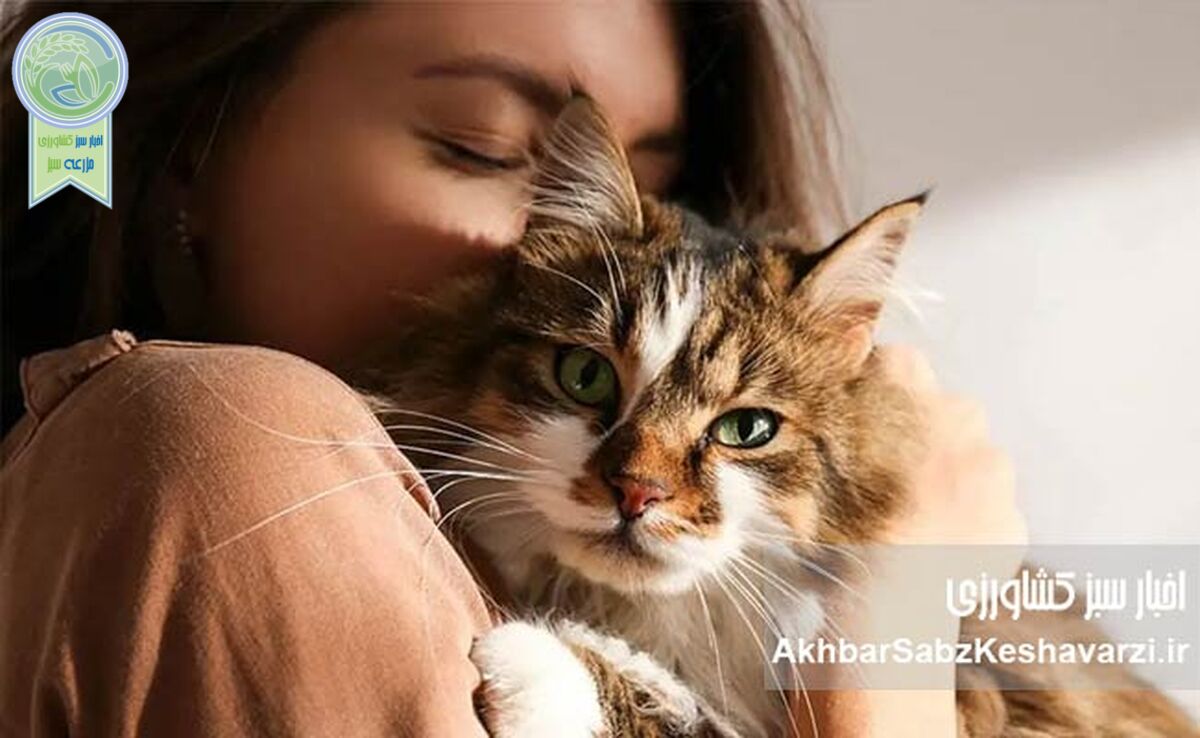 چالش‌های متعدد نگهداری حیوانات خانگی در ایران