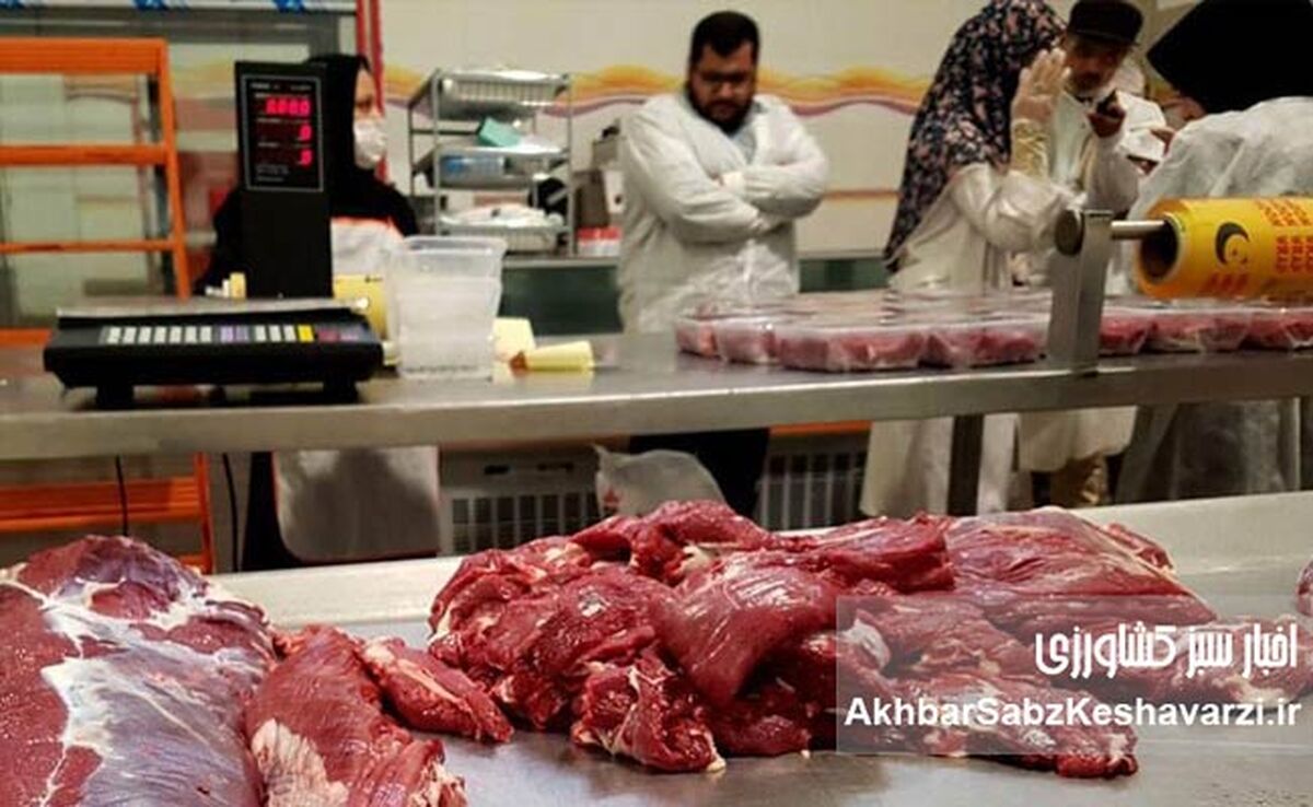 چالش حذف ارز ترجیحی گوشت قرمز و تبعات زنجیره‌ای آن
