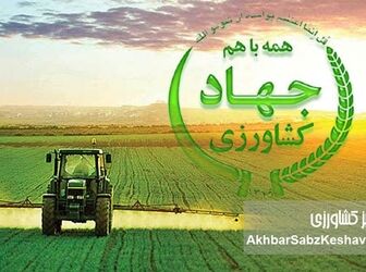 فاصله از مأموریت اصلی؛ چرا تولید و کشاورزان دیگر اولویت نخست نیستند؟

