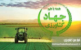 فاصله از مأموریت اصلی؛ چرا تولید و کشاورزان دیگر اولویت نخست نیستند؟

