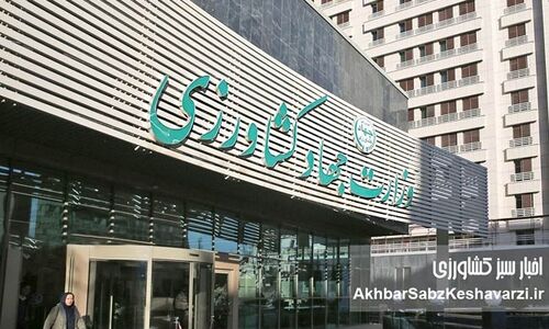 قربانی بعدی، کدام معاون وزیر است؟

