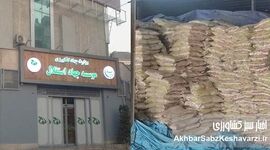 ۶۰ هزار تن برنج تعزیراتی؛ گزارش رسمی از پرونده جهاد استقلال+ نامه