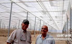 گلخانه‌ای متحول با صرفه‌جویی انرژی: رویای یک کشاورز لرستانی در ازنا+ ویدئو