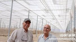 گلخانه‌ای متحول با صرفه‌جویی انرژی: رویای یک کشاورز لرستانی در ازنا+ ویدئو