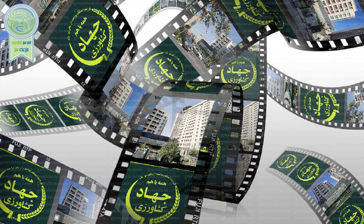 از دوست محوری تا شایسته سالاری

