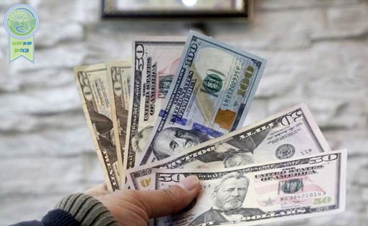 قیمت دلار و یورو امروز شنبه ۲۲ اردیبهشت ۱۴۰۳+ جدول

